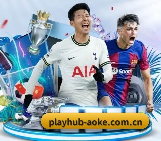 playhub-aoke.com.cn APP | aoko
