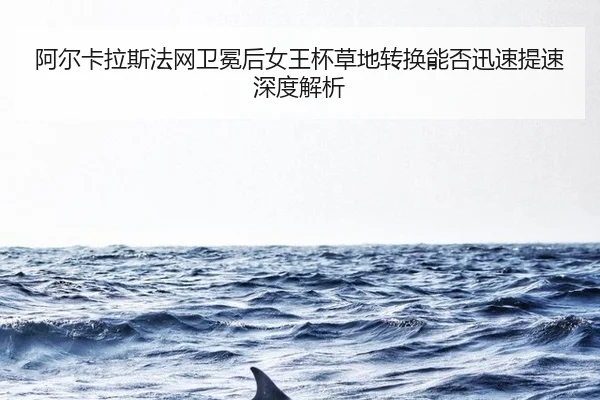 a-er-ka-la-si-fa-wang-wei-mian-hou-nv-wang-bei-cao-di-zhuan-huan-neng-fou-xun-su-ti-su-shen-du-jie-xi-2-427.jpg